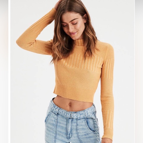American Eagle Outfitters Sweaters - American Eagle Crop Sweater